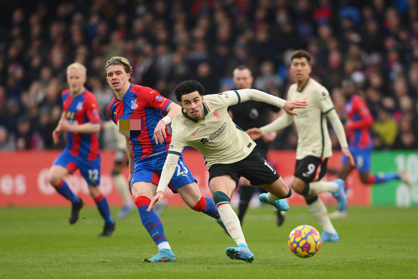 韩国队在冰 韩国队在冰